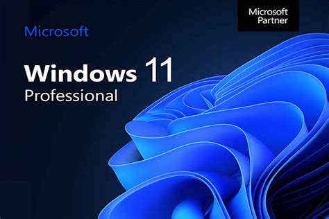 Windows 11 Pro With