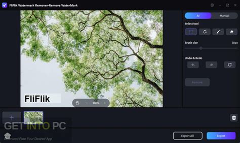 Free FliFlik Watermark Remover
